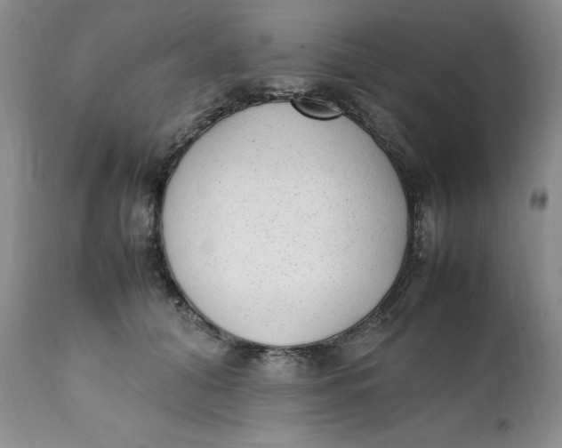 X0000112040608200908241604