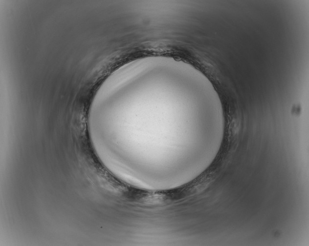 X0000112040609200908241604