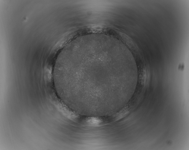 X0000112040610200908241604