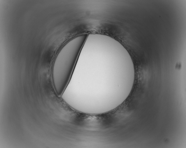 X0000112040611200908241604