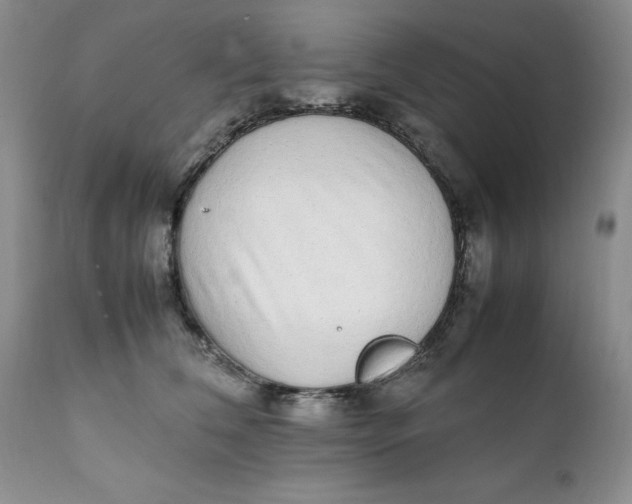 X0000112040612200908241604