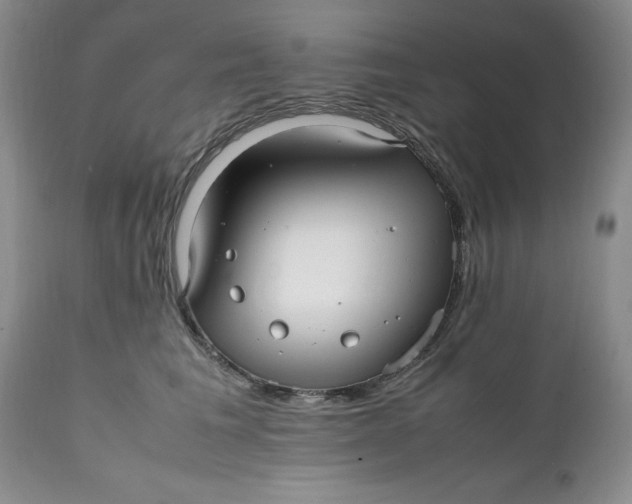 X0000112040613200908241604