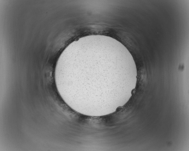 X0000112040615200908241604
