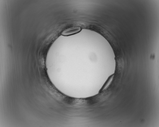 X0000112040617200908241604