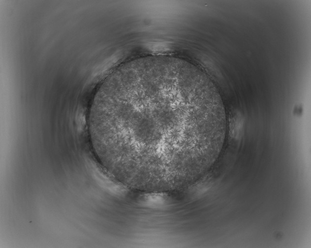 X0000112040618200908241604