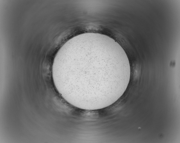 X0000112040619200908241604