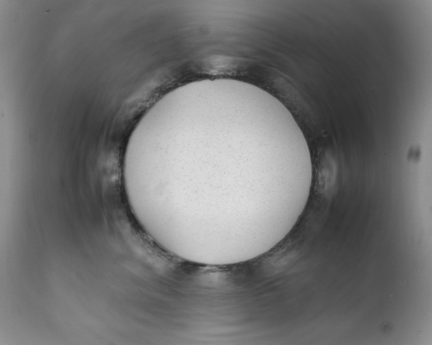 X0000112040620200908241604