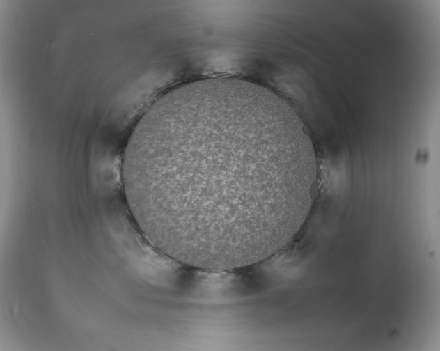X0000112040621200908241604