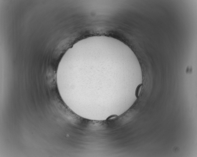 X0000112040624200908241604