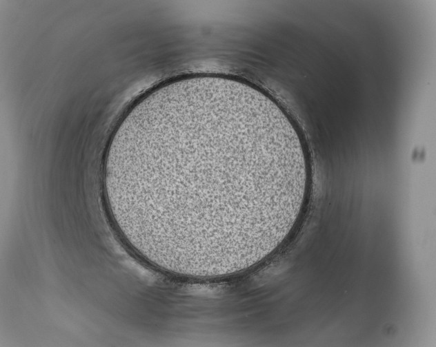X0000112040625200908241603
