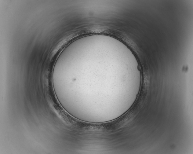 X0000112040626200908241603