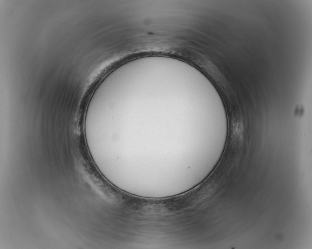 X0000112040628200908241603