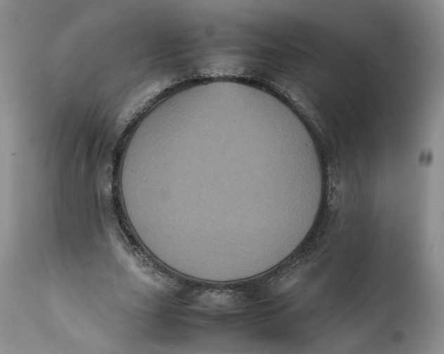 X0000112040631200908241603