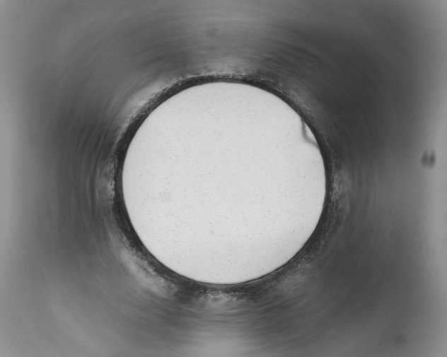 X0000112040632200908241603