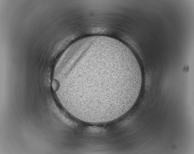 X0000112040633200908241603