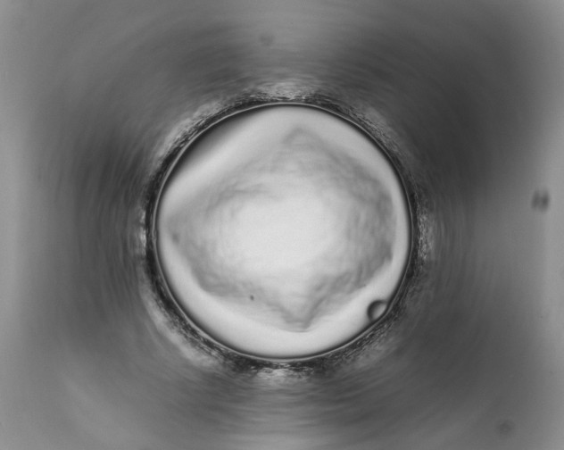 X0000112040634200908241603