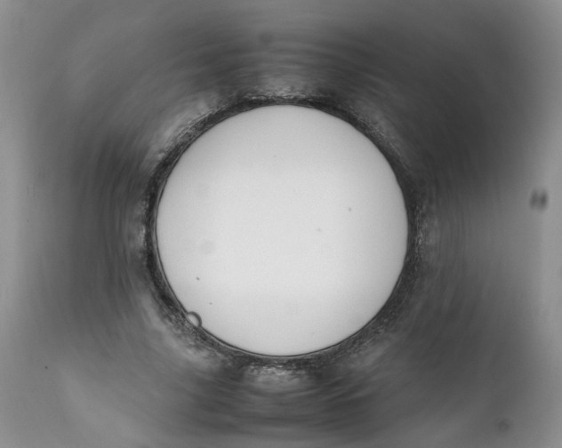 X0000112040635200908241603