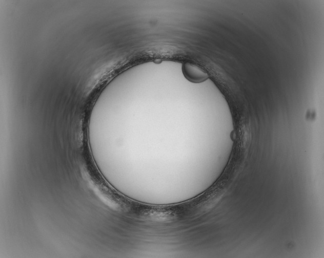 X0000112040638200908241603