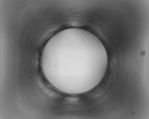 X0000112040639200908241603