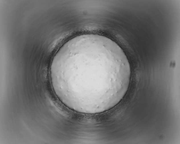 X0000112040640200908241603