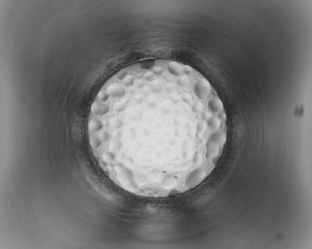 X0000112040641200908241603