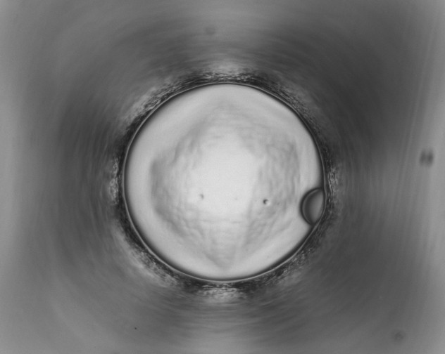 X0000112040642200908241603