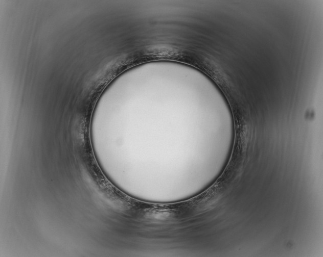 X0000112040643200908241603