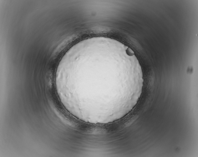 X0000112040644200908241603