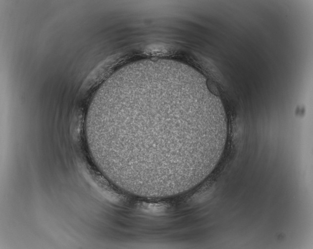 X0000112040645200908241603
