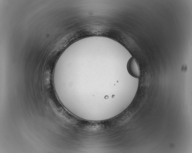 X0000112040646200908241603