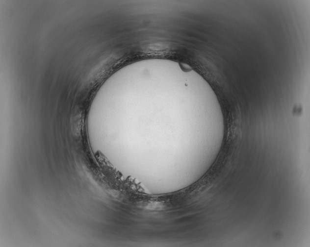 X0000112040647200908241603