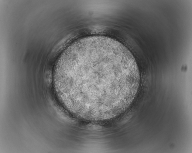 X0000112040648200908241603