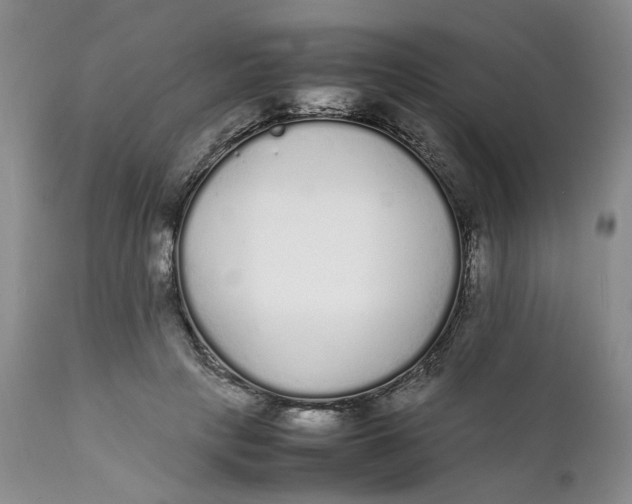 X0000112040649200908241603