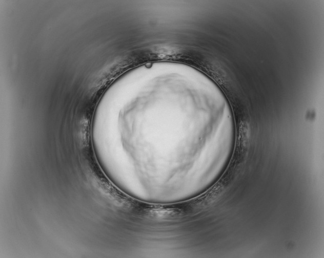 X0000112040650200908241603