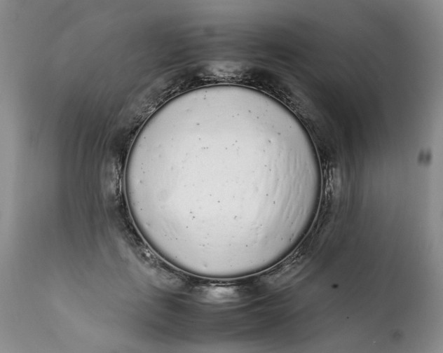X0000112040651200908241603