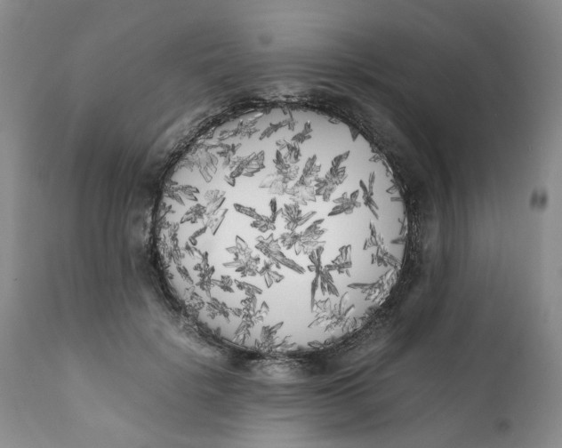X0000112040652200908241603