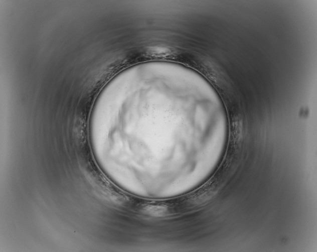 X0000112040653200908241603