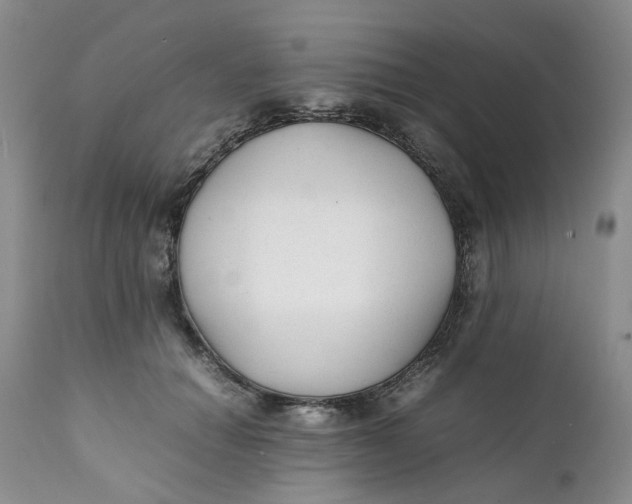 X0000112040654200908241603