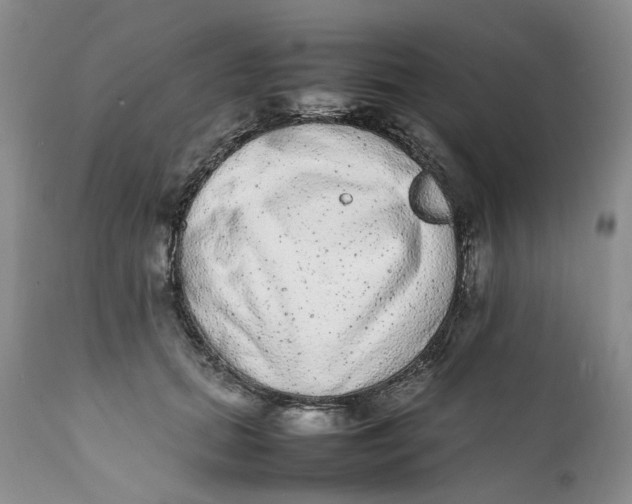 X0000112040655200908241603