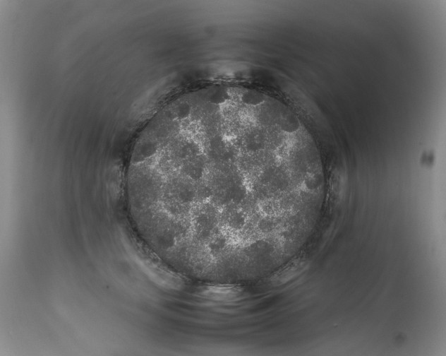 X0000112040659200908241604