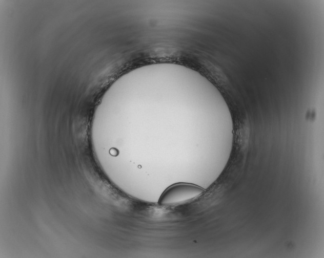 X0000112040662200908241604