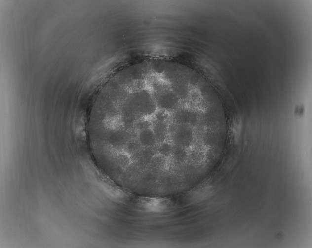 X0000112040663200908241604