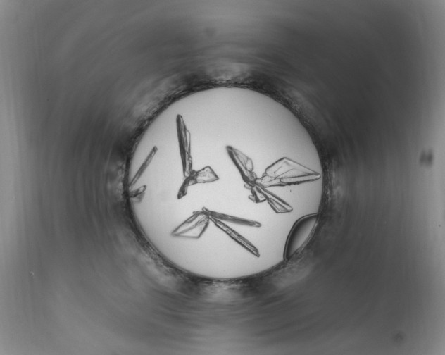 X0000112040664200908241604
