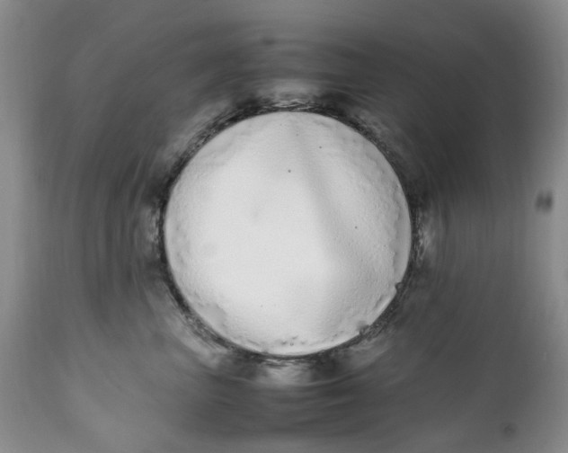 X0000112040667200908241604