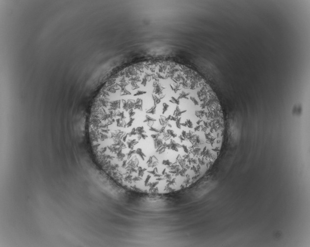 X0000112040668200908241604