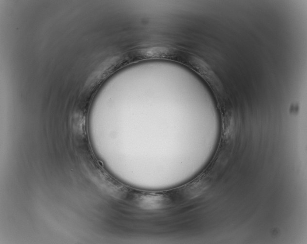 X0000112040669200908241604