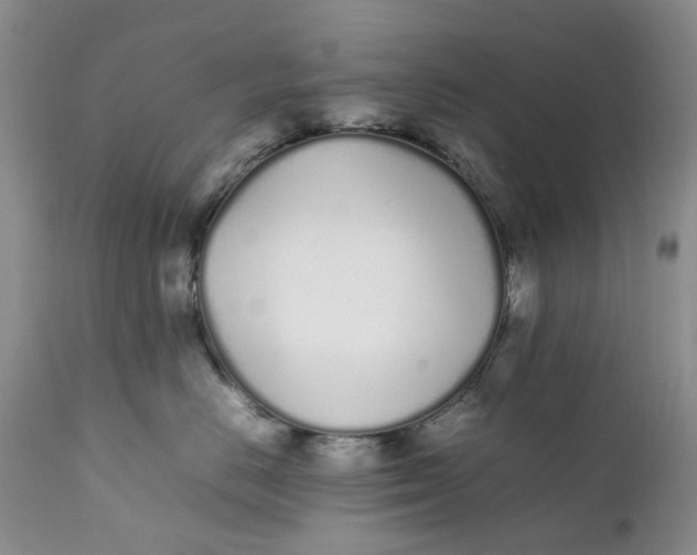 X0000112040670200908241604