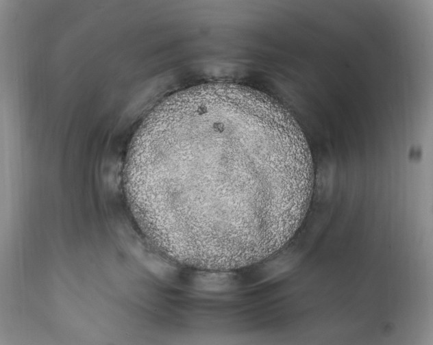 X0000112040671200908241604