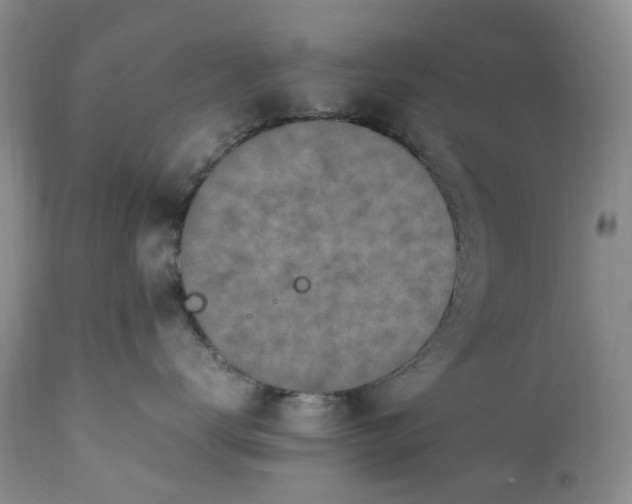 X0000112040672200908241604