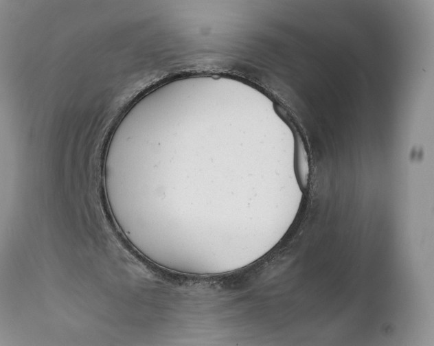 X0000112040673200908241603